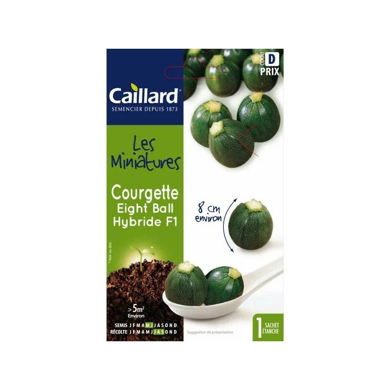 Graines mini courgette - CAILLARD