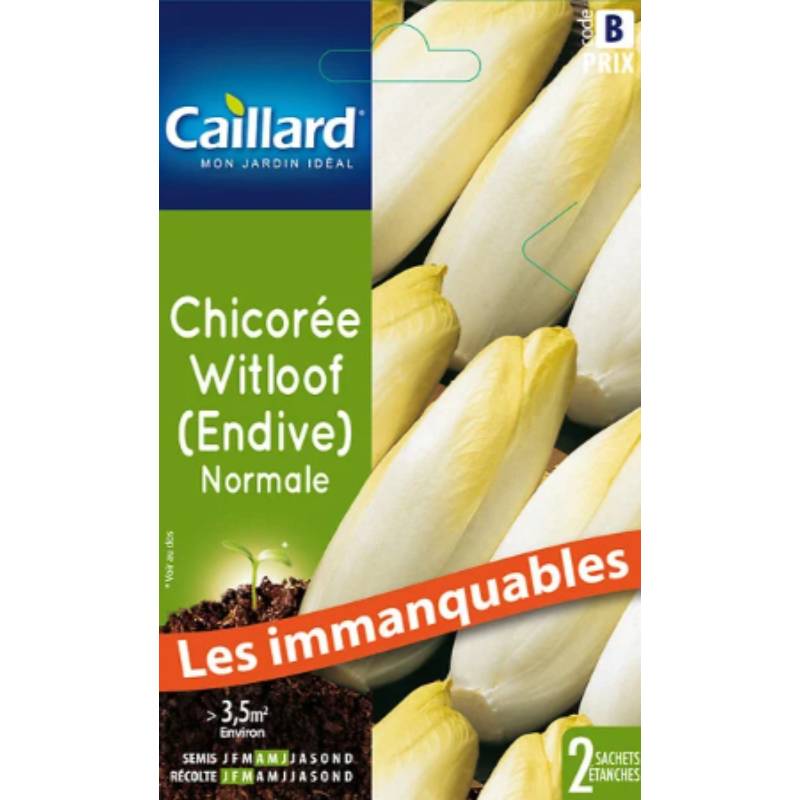 Caillard - Graines de chicorée witloof - CAILLARD