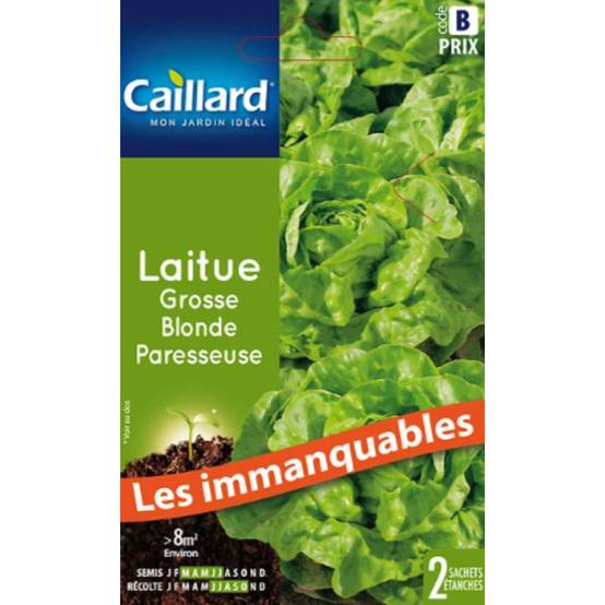 Laitue Grosse Blonde Paresseuse - Graines - Une salade réputée Laitue Grosse Blonde Paresseuse - Graines - Une salade réputée