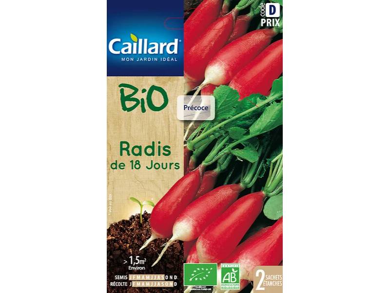 Caillard - Radis Demi-Long Rose Vif À Bout Blanc Variété Précoce – CAILLARD