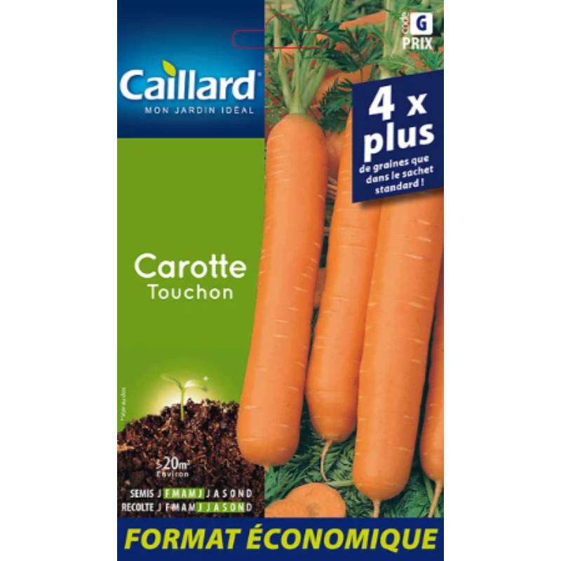 Caillard - Graines de Carotte Touchon - CAILLARD