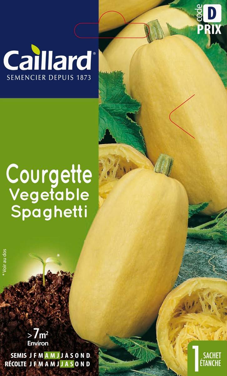Caillard - Graines de Courge Vegetable Spaghetti - CAILLARD