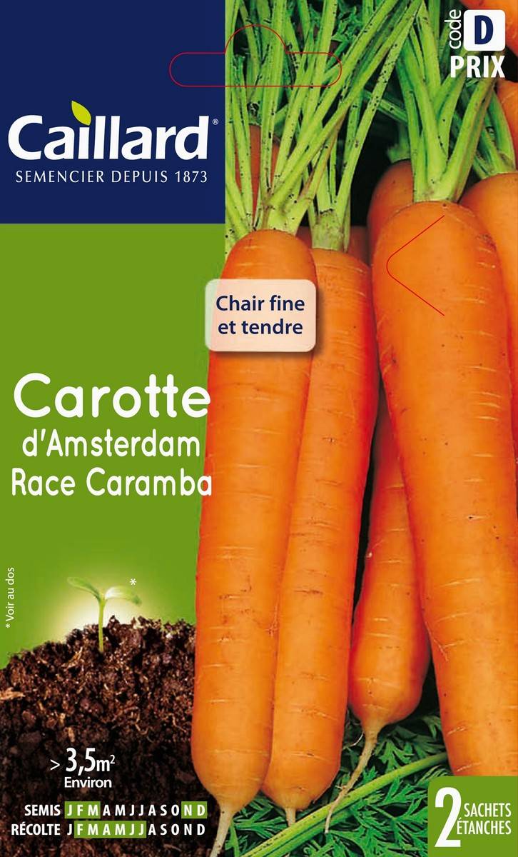 Caillard - Graines de Carotte - CAILLARD
