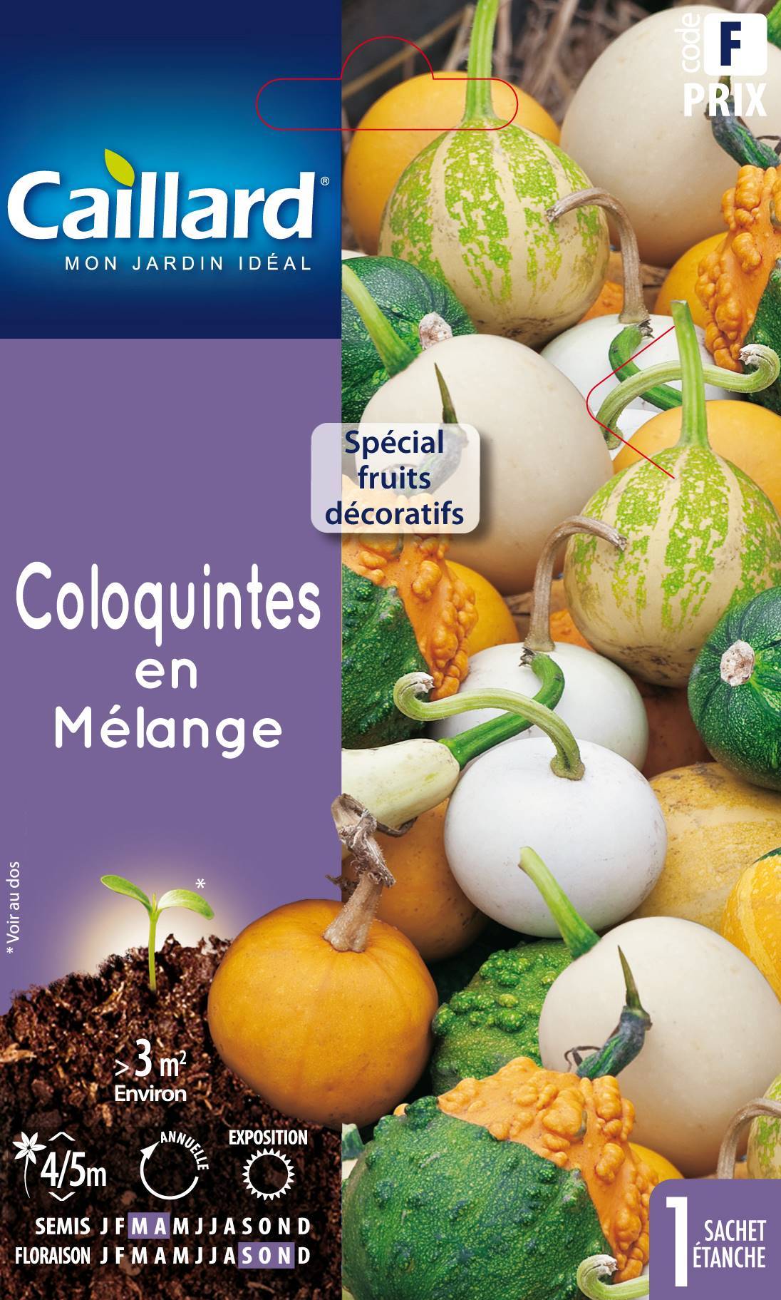 Graines de Coloquintes – CAILLARD