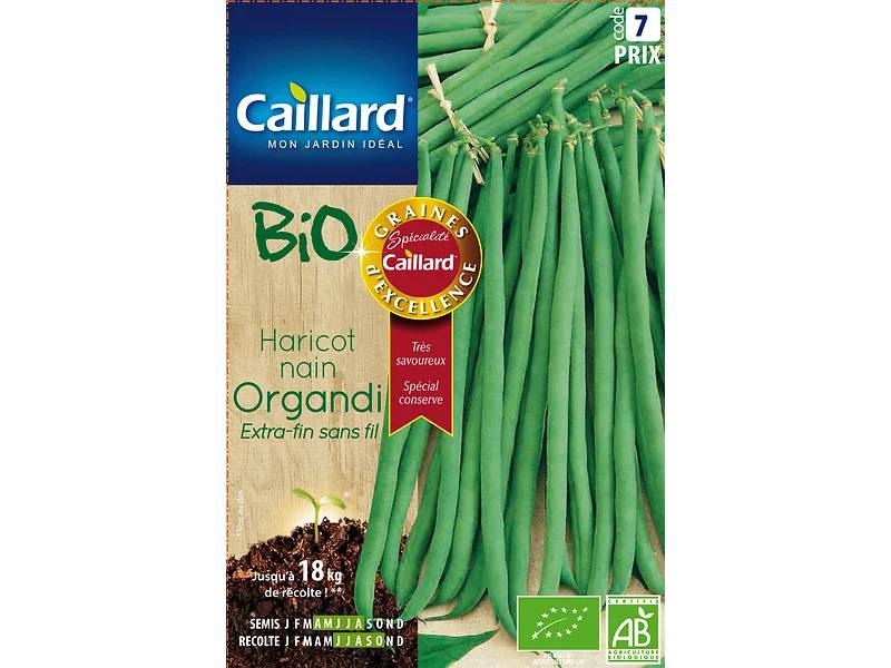 Haricot Nain Extra-Fin Bio – CAILLARD