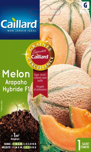 Caillard - Graines de melon hybride F1 type charentais - CAILLARD