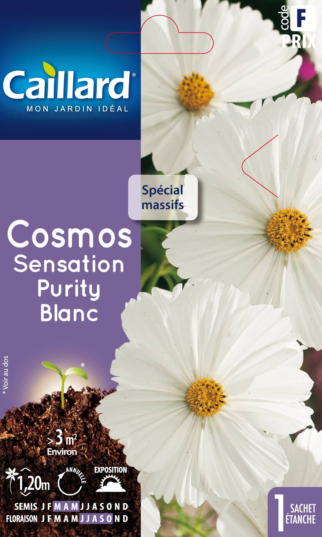 Graines de cosmos – CAILLARD - Image 2
