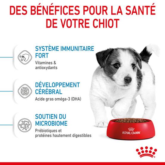 Royal Canin - Croquettes pour chiot Puppy mini - ROYAL CANIN - Image 7