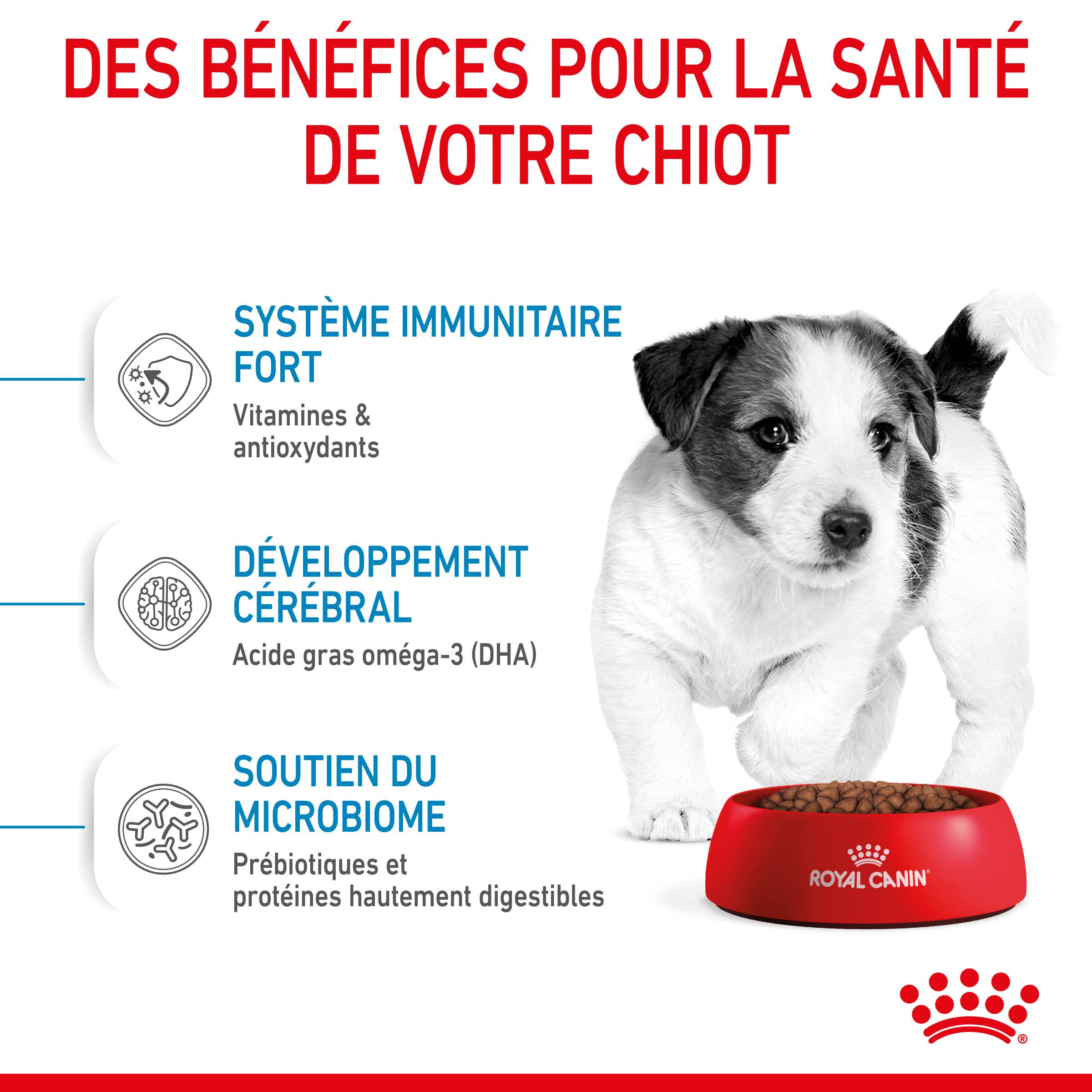 Royal Canin - Croquettes pour chiot Puppy mini - ROYAL CANIN - Image 7