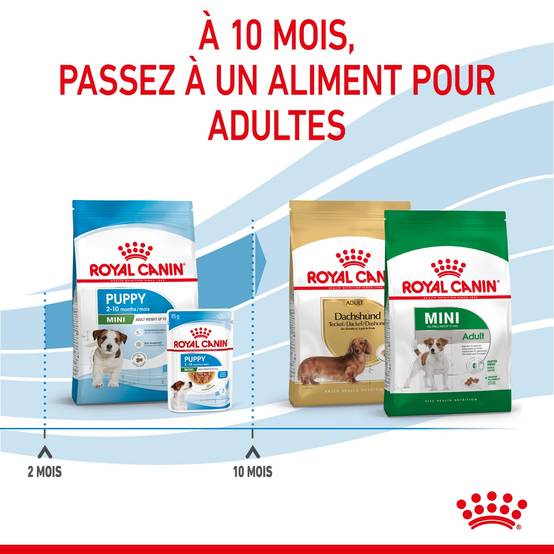 Royal Canin - Croquettes pour chiot Puppy mini - ROYAL CANIN - Image 10