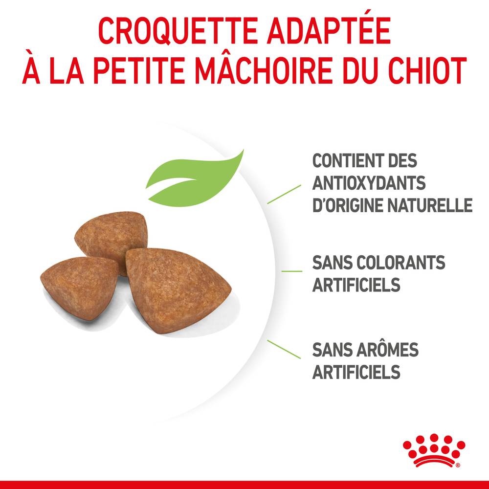 Royal Canin - Croquettes chiot Puppy X-Small – ROYAL CANIN - Image 7