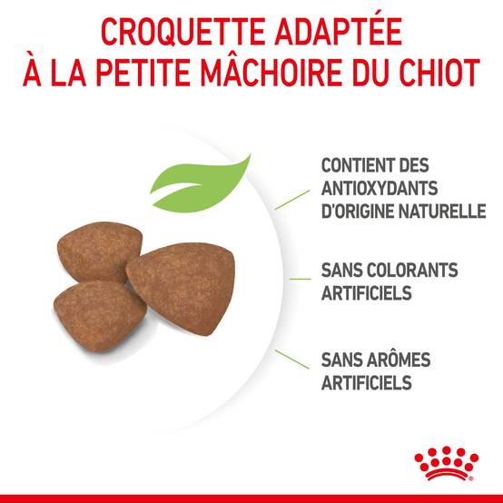 Royal Canin - Royal Canin - Croquettes pour chiot Puppy Mini 8 kg - Image 4