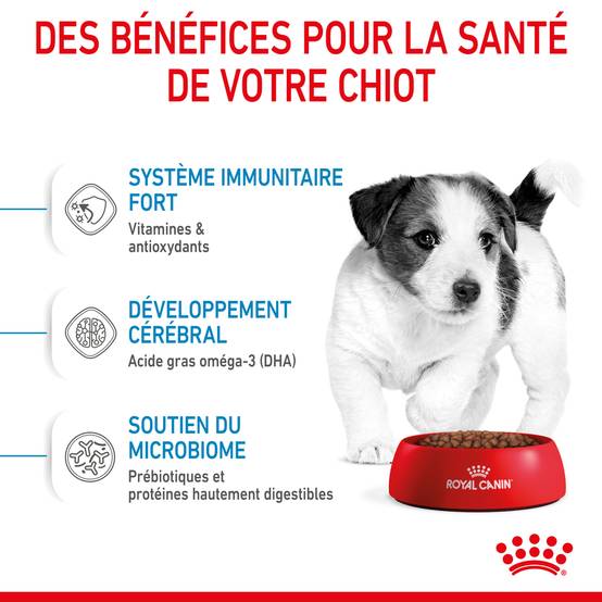 Royal Canin - Croquettes chiot - ROYAL CANIN - Image 6