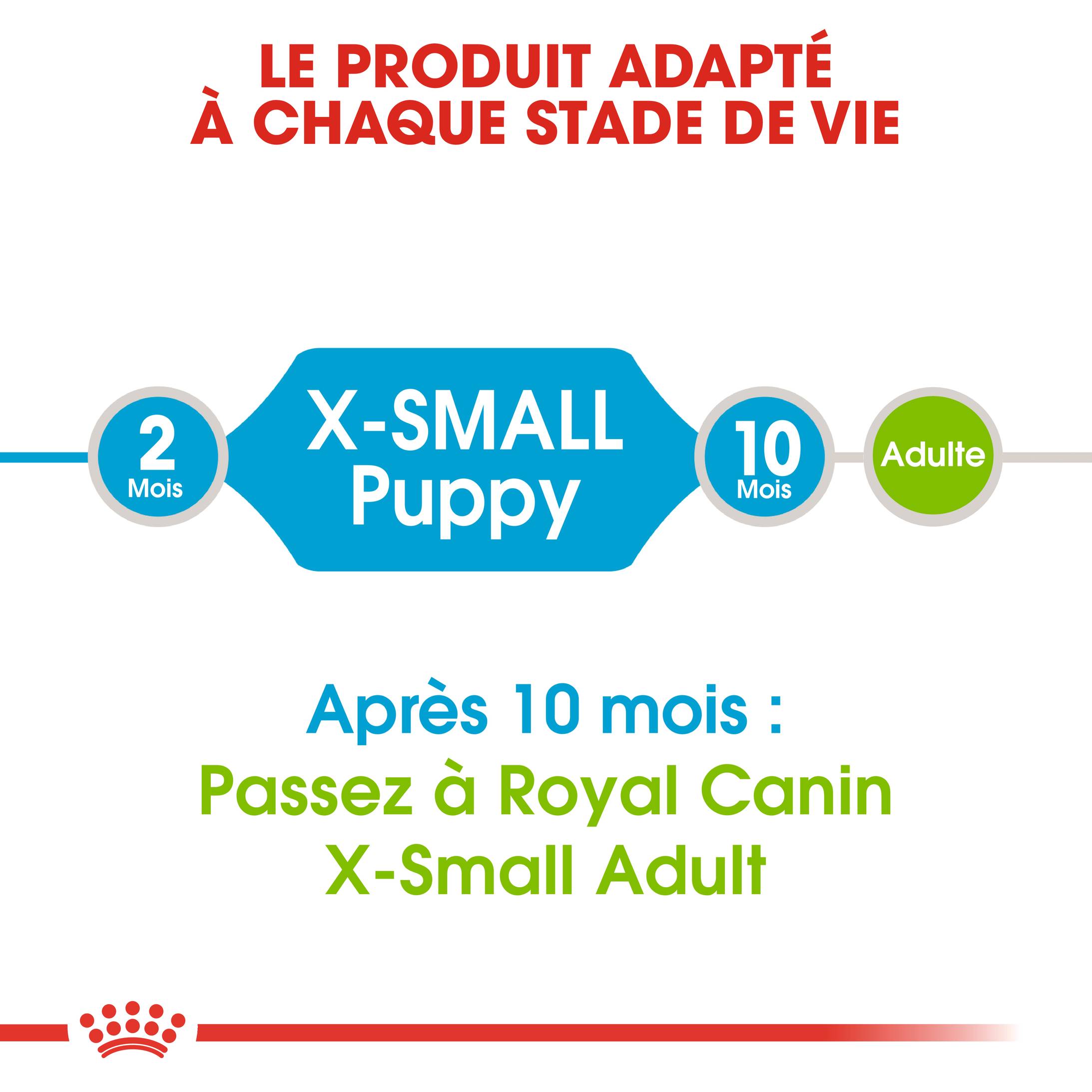 Royal Canin - Croquettes Chien Puppy X-Small – ROYAL CANIN - Image 3
