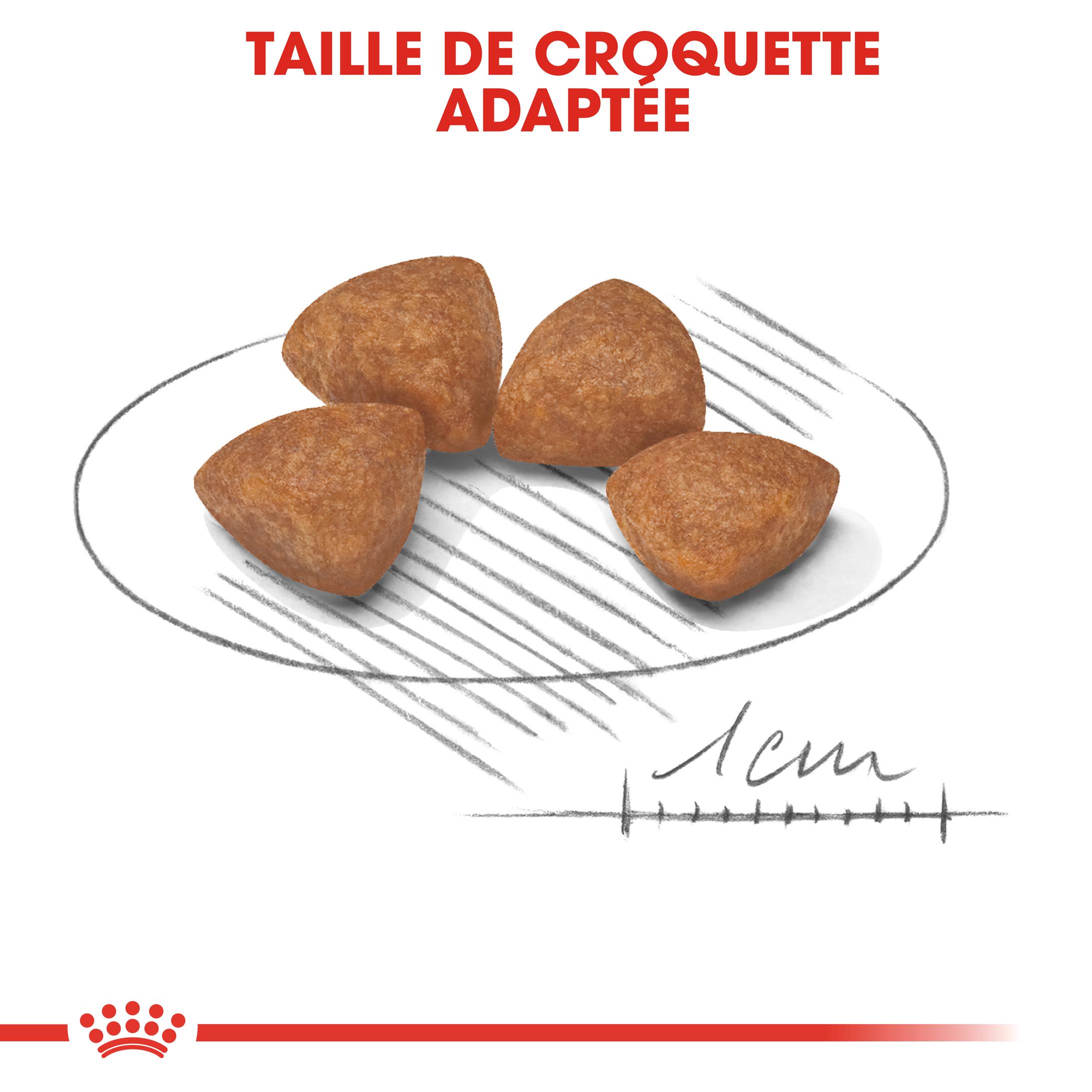 Royal Canin - Croquettes Chien Puppy X-Small – ROYAL CANIN - Image 2