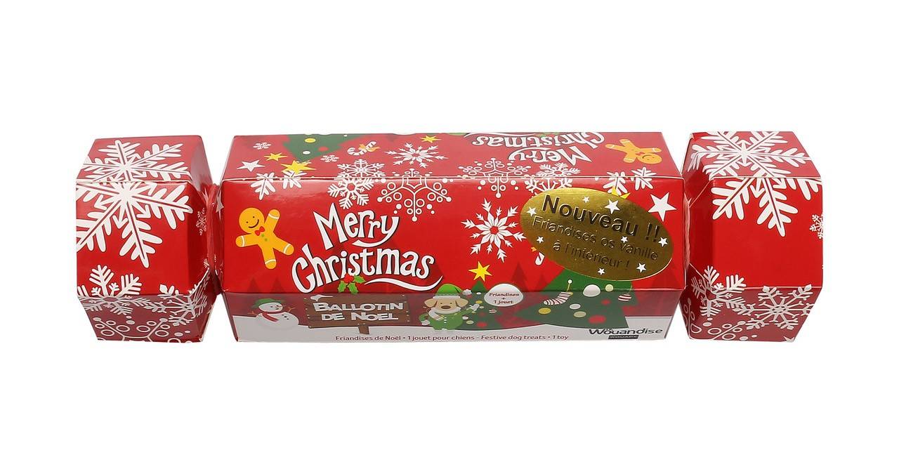 Wouapy - Ballotin de Noel pour chien - Image 1