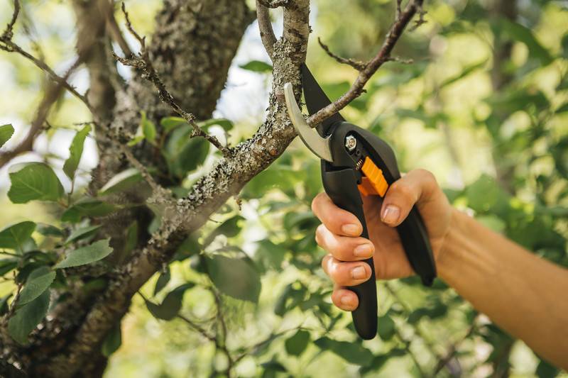 Fiskars - Fiskars - Sécateur Singlestep™ P26 à lame franche - Imagen 2