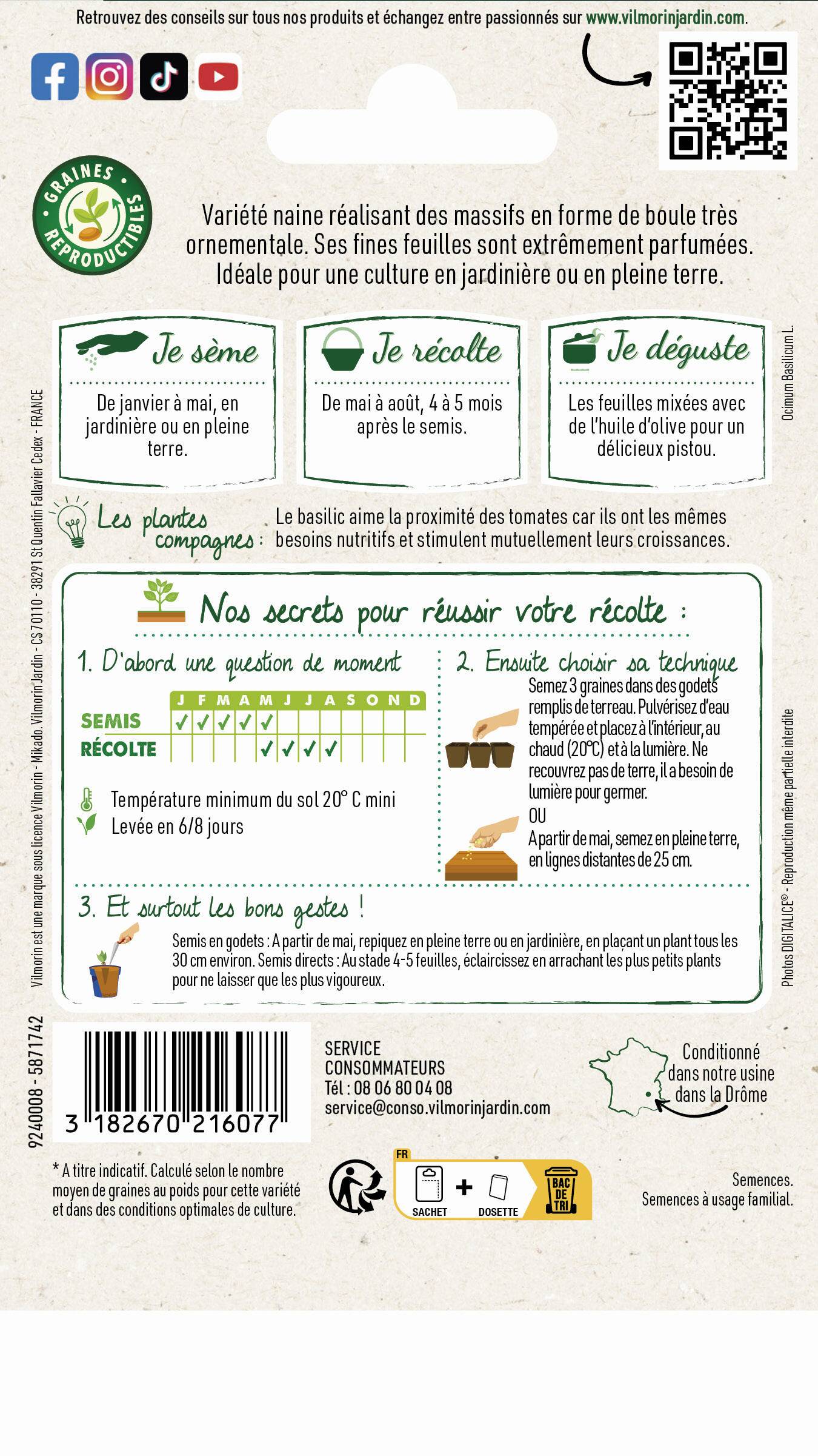 Vilmorin - Basilic Pistou serie 2 sachet graines 1 g - Vilmorin - Image 2