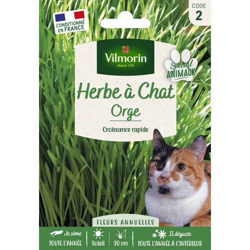 Vilmorin - Herbe a chat orge grand modèle série 2 sachet graines 30 g - Vilmorin - Image 1