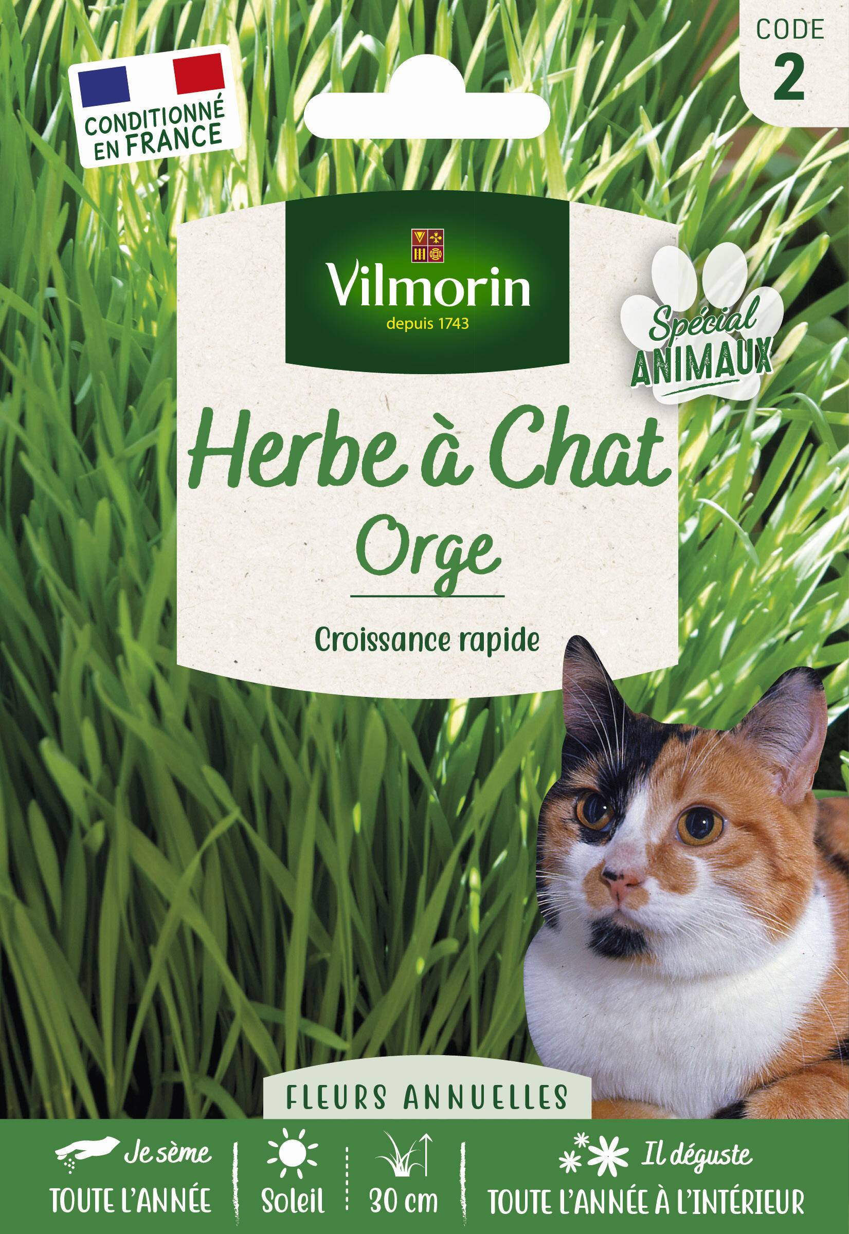 Vilmorin - Herbe a chat orge grand modèle série 2 sachet graines 30 g - Vilmorin - Image 3