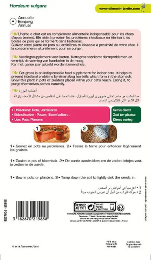 Vilmorin - Herbe a chat orge grand modèle série 2 sachet graines 30 g - Vilmorin - Image 5