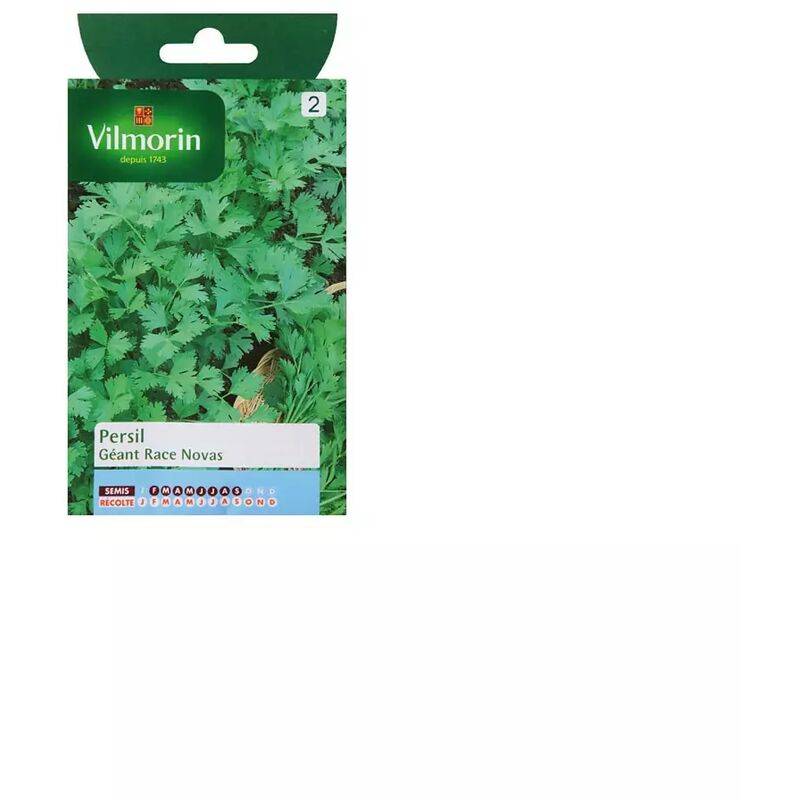 Vilmorin - Persil Gigante d'Italia race Novas serie 2 sachet graines 5 g - Vilmorin - Image 3