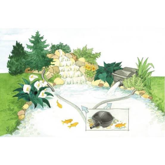 Oase - Pompe de bassin de jardin filtre éco 5000 W - Pontec - Image 5