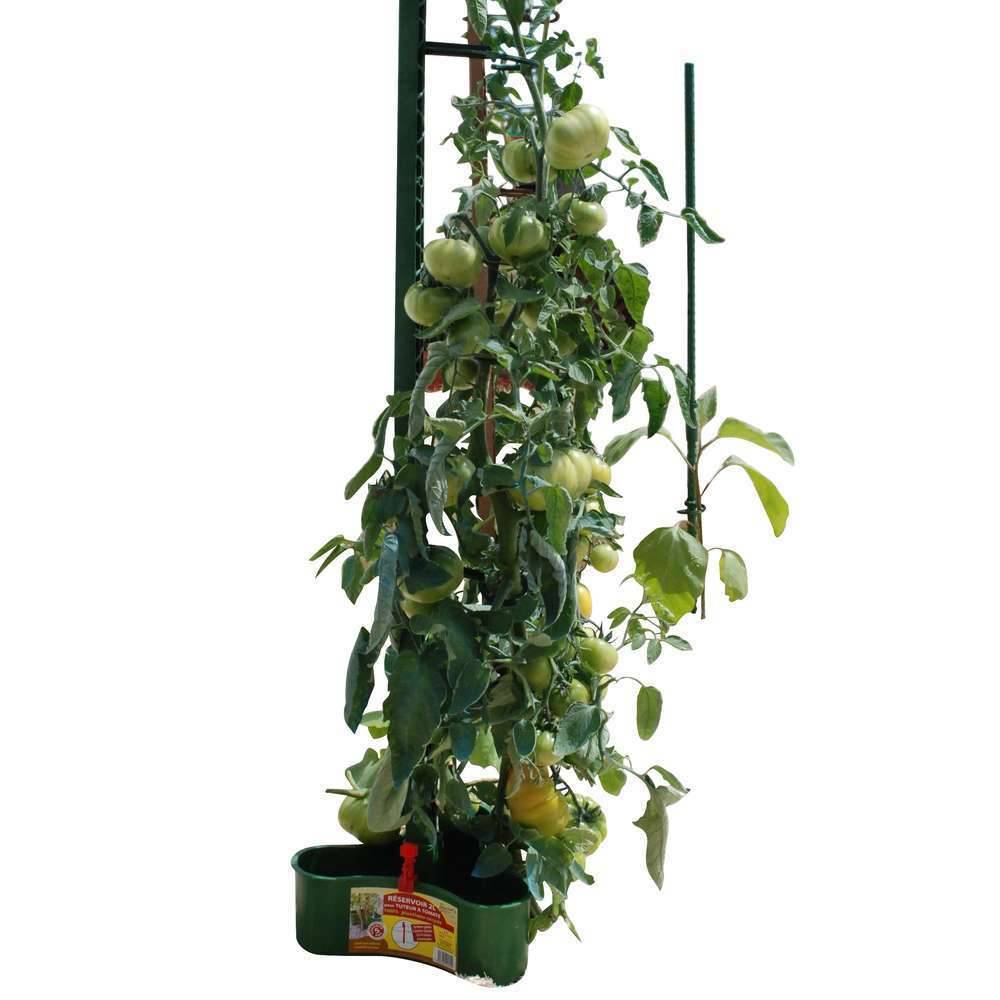 Modulo - Tuteur Tomate Plastique Recyclé – POUSS VERT - Image 5