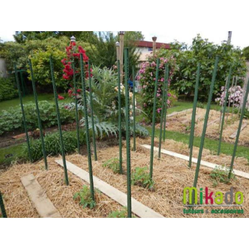 Modulo - Tuteur Tomate Plastique Recyclé – POUSS VERT - Image 3