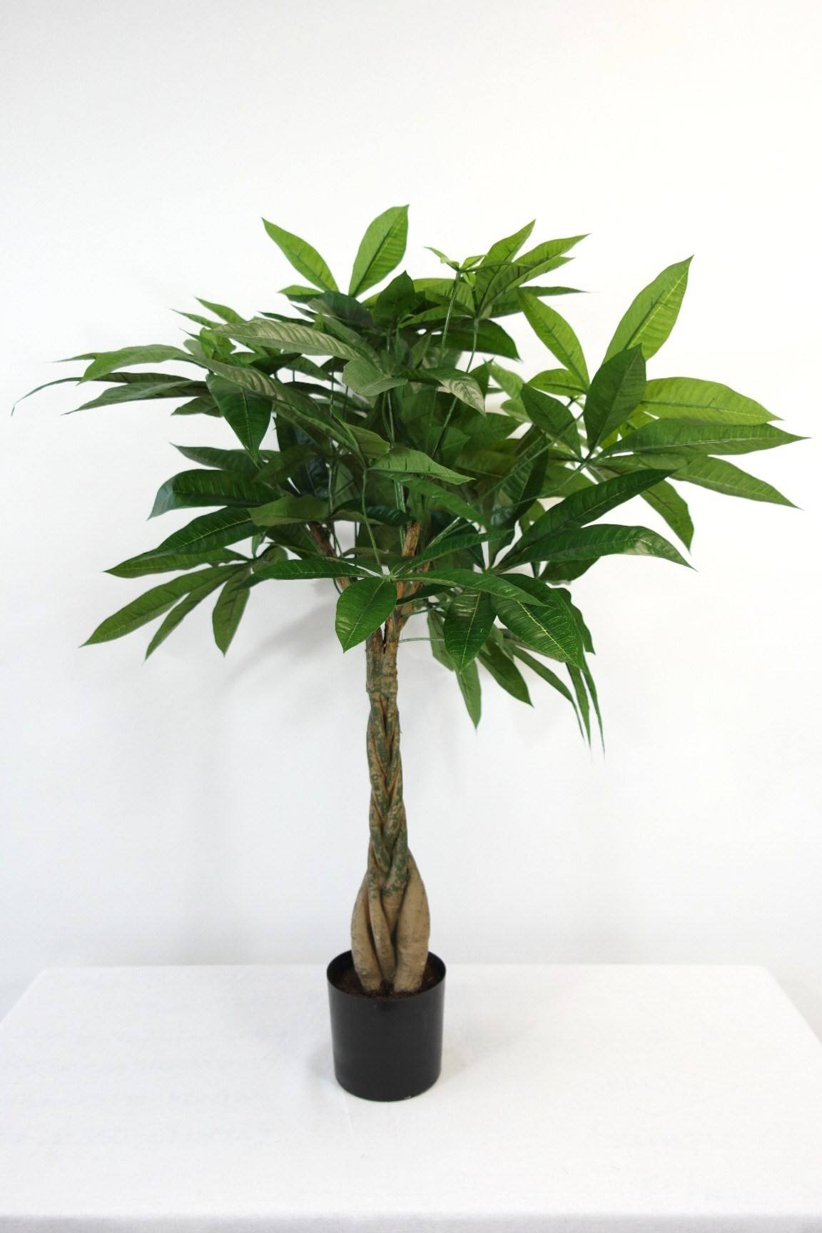 Pachira artificiel 80 cm dans pot