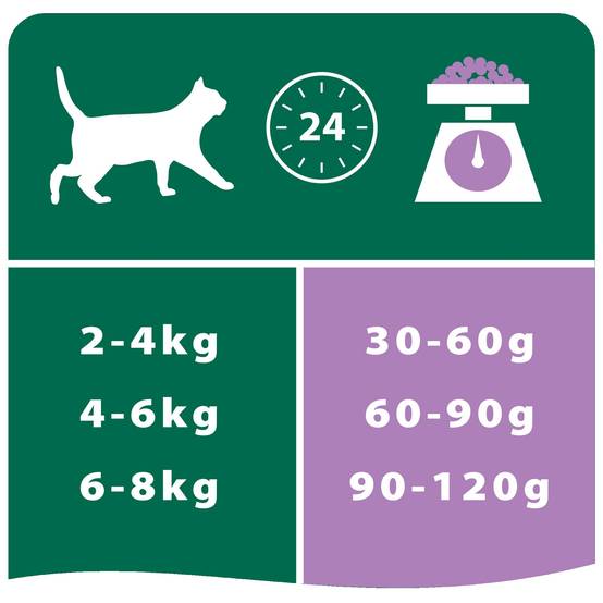 Purina Pro Plan - Croquettes chat Stérilisé Dinde 10 kg - PRO PLAN - Image 9