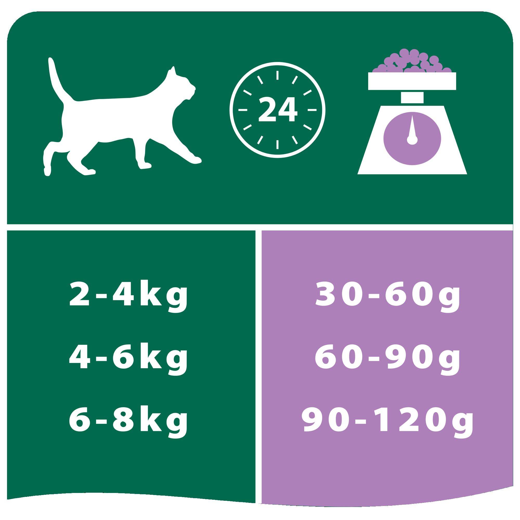 Purina Pro Plan - Croquettes chat Stérilisé Dinde 10 kg - PRO PLAN - Imagen 9