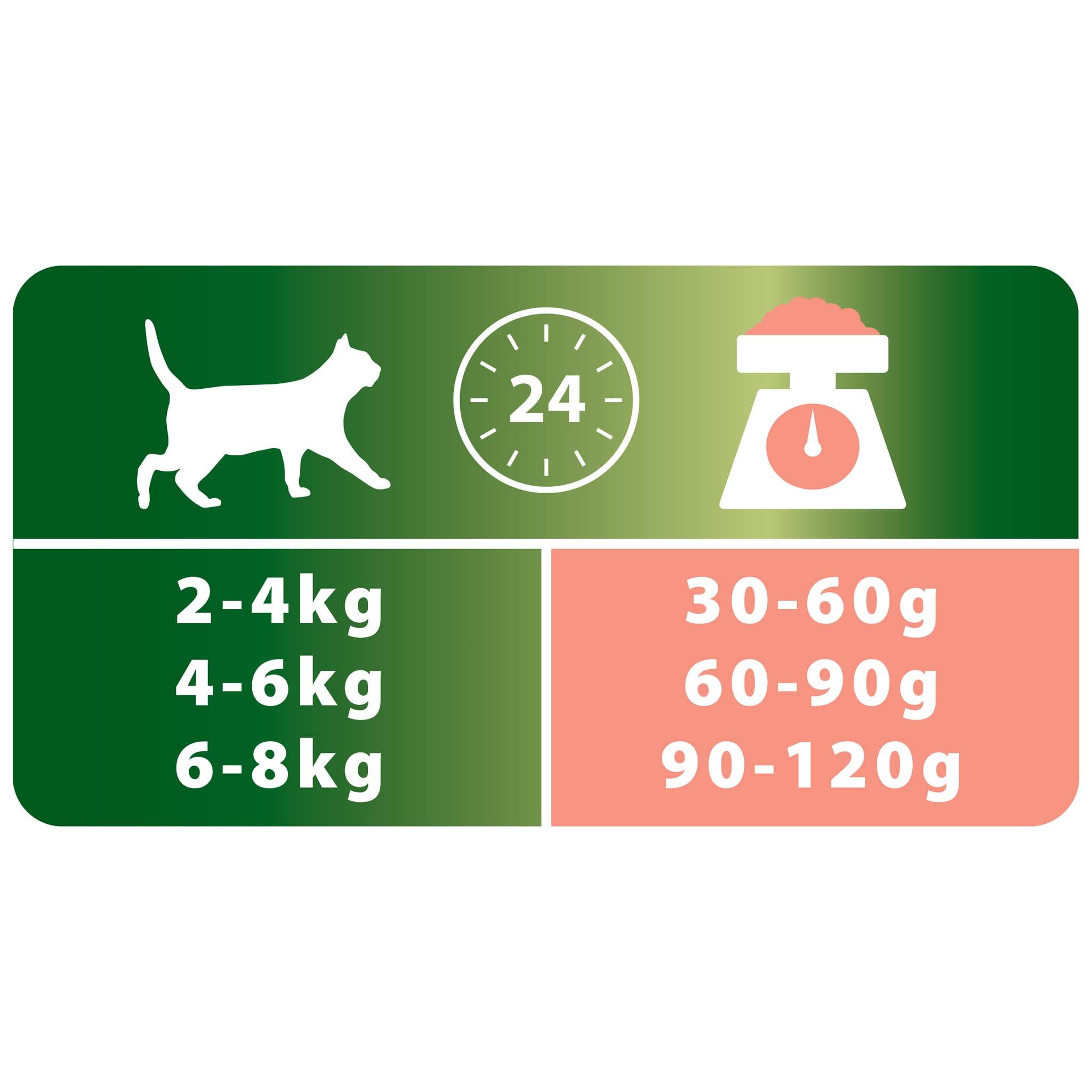 Purina Pro Plan - Croquetas Pro Plan Gato Esterilizado - Rico en Salmón - 400 g - Imagen 2