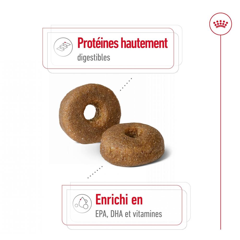 Royal Canin - Croquettes pour chien Senior Maxi Ageing 8+ - ROYAL CANIN - Image 5