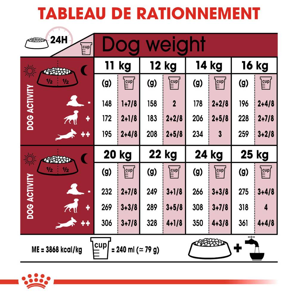 Royal Canin - Croquettes Chien Medium Senior 10+ - ROYAL CANIN - Image 10