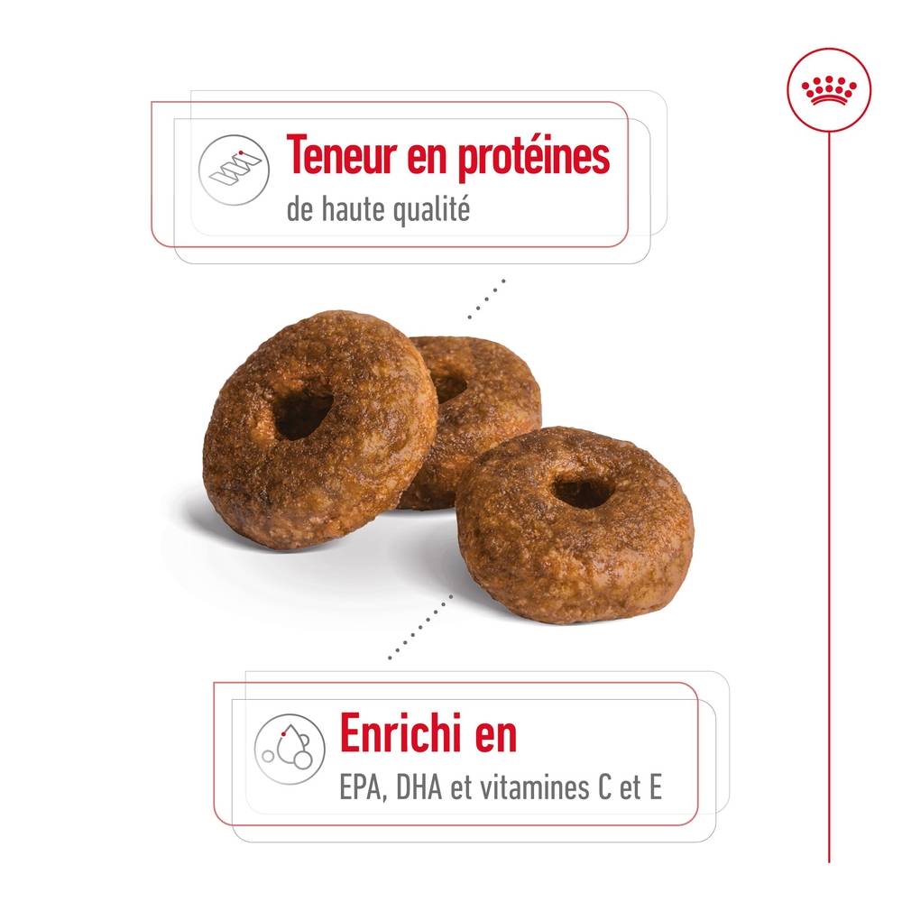 Royal Canin - Croquettes Chien Medium Senior 10+ - ROYAL CANIN - Image 6