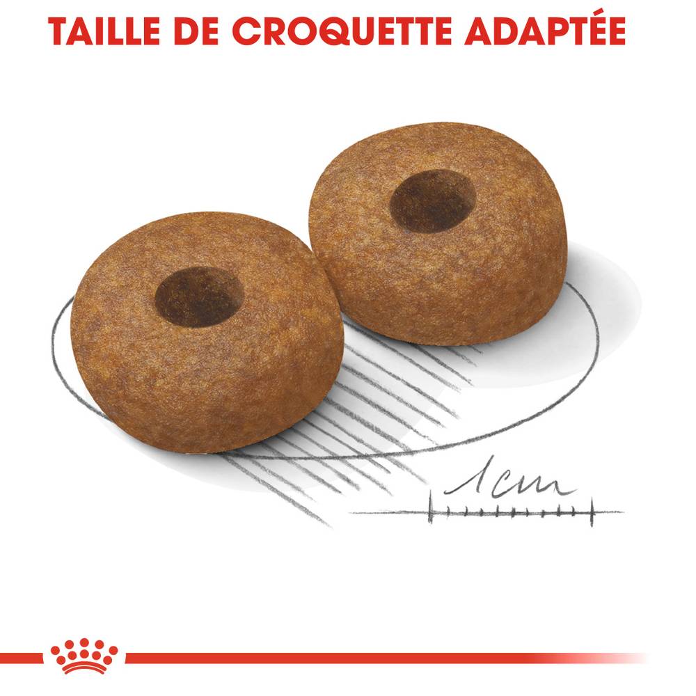 Royal Canin - Croquettes Chien Medium Senior 10+ - ROYAL CANIN - Image 5