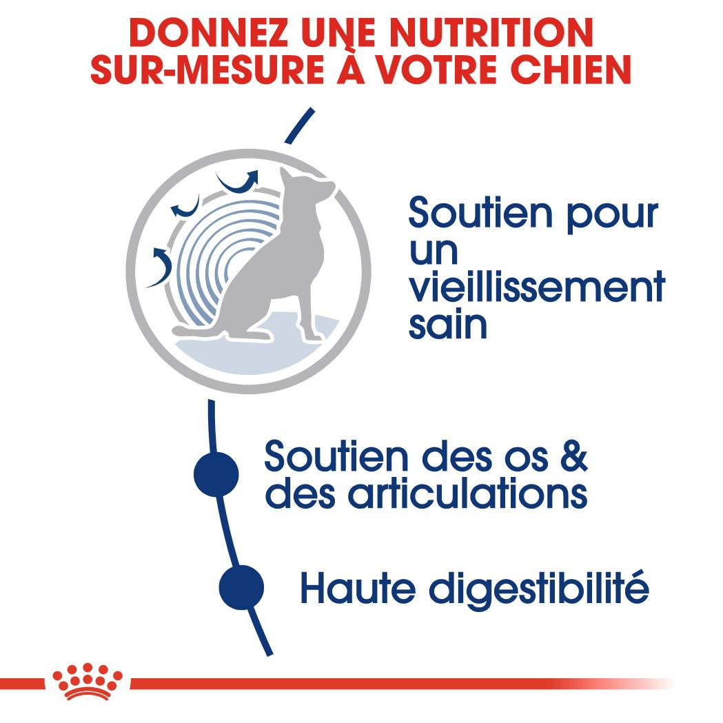 Royal Canin - Croquettes pour chien Maxi Ageing 8+ – ROYAL CANIN - Image 3
