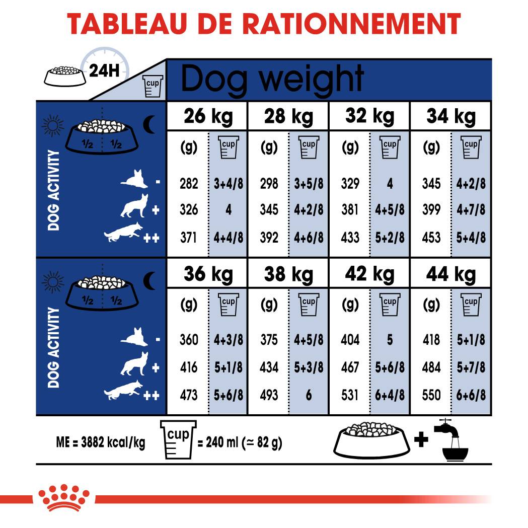 Royal Canin - Croquettes pour chien Maxi Ageing 8+ – ROYAL CANIN - Image 4