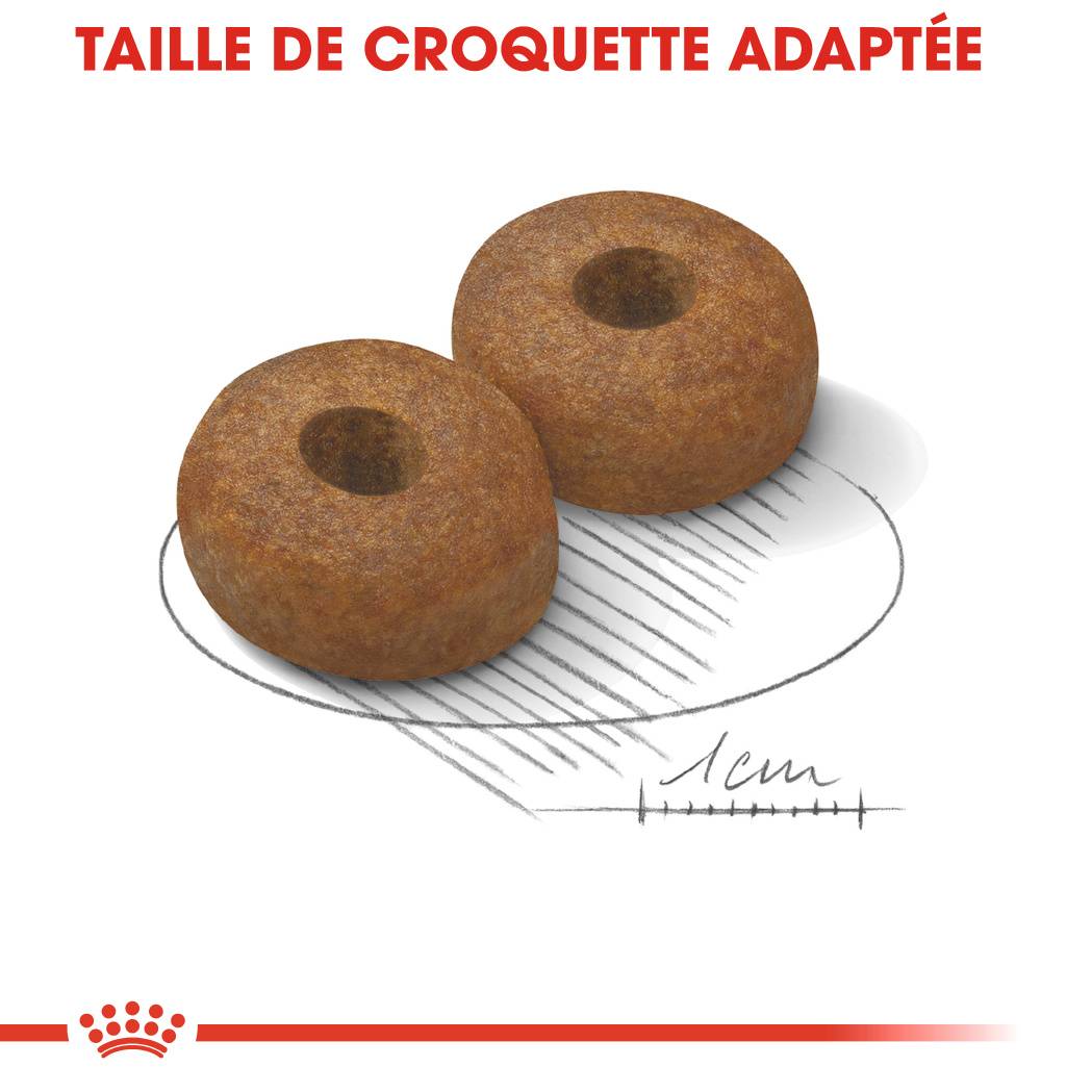 Royal Canin - Croquettes pour chien Maxi Ageing 8+ – ROYAL CANIN - Image 15