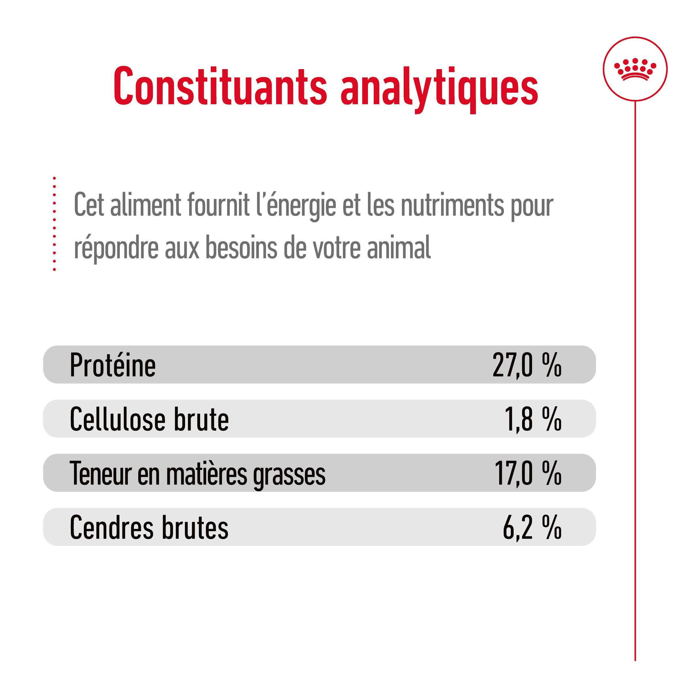 Royal Canin - Croquettes pour chien Maxi Ageing 8+ – ROYAL CANIN - Image 7
