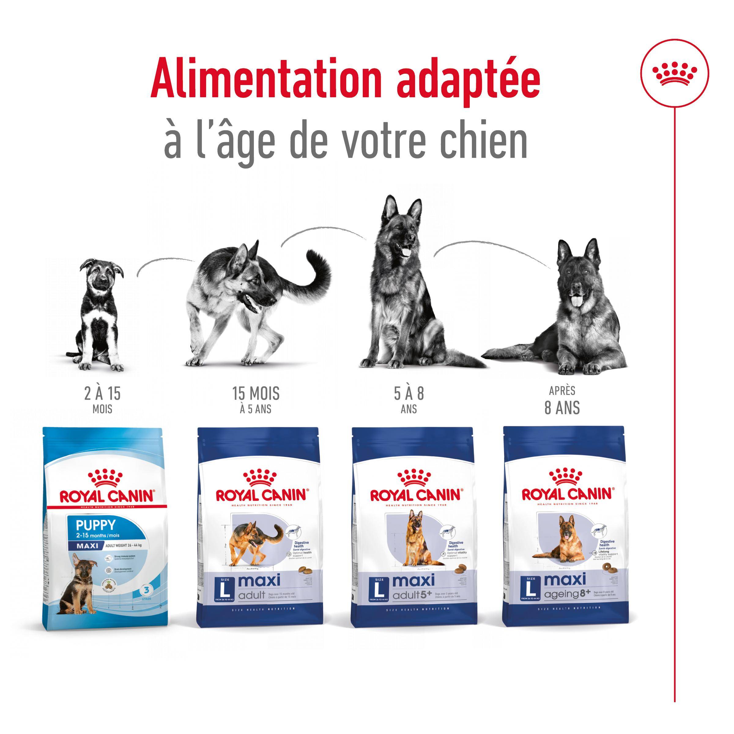 Royal Canin - Croquettes pour chien Maxi Ageing 8+ – ROYAL CANIN - Image 6