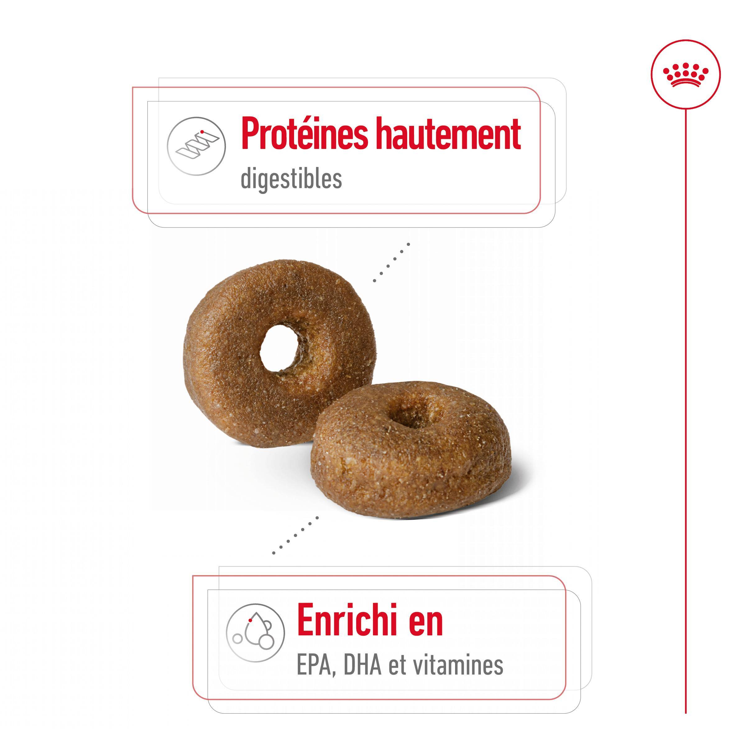 Royal Canin - Croquettes pour chien Maxi Ageing 8+ – ROYAL CANIN - Image 13