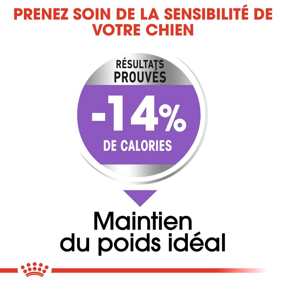 Royal Canin - Croquettes Chien Mini Sterilised - ROYAL CANIN - Image 5