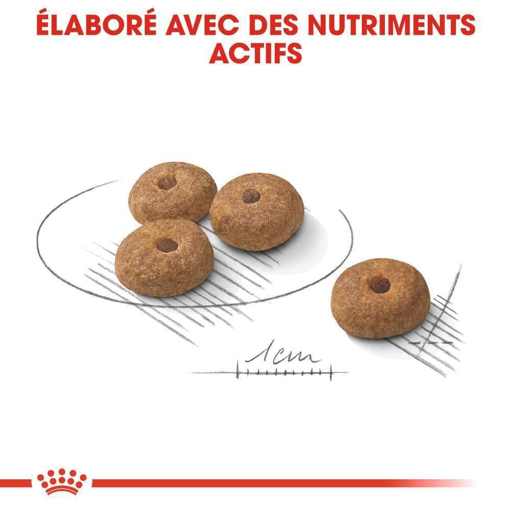 Royal Canin - Croquettes Chien Mini Sterilised - ROYAL CANIN - Image 9