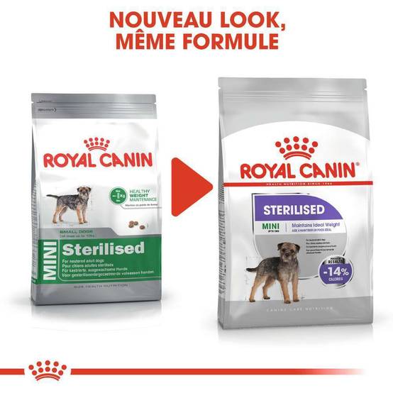 Royal Canin - Croquettes Chien Mini Sterilised - ROYAL CANIN - Image 10