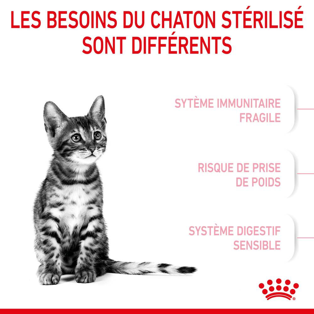 Royal Canin - Croquettes Kitten Sterilised 400g - ROYAL CANIN - Image 3