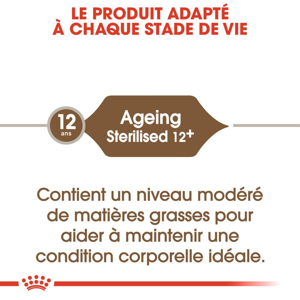 Royal Canin - Croquettes chat stérilisé - ROYAL CANIN - Image 2