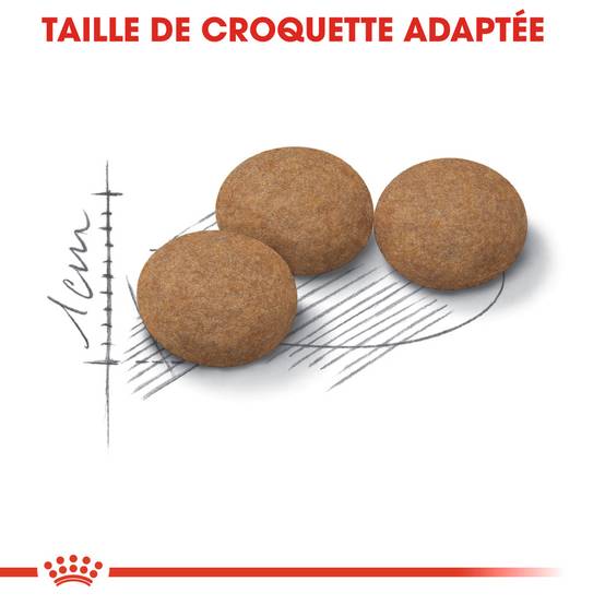 Royal Canin - Croquettes chat stérilisé - ROYAL CANIN - Image 3