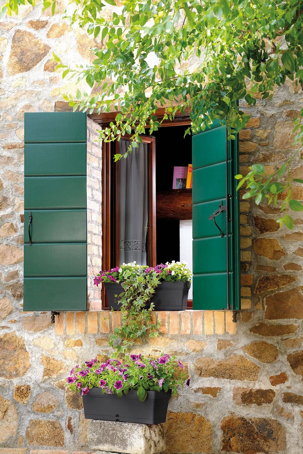 Deroma - Jardinière Samba anthracite 50 cm - L.50,2 x l.17,5 x H.17 cm - Image 2